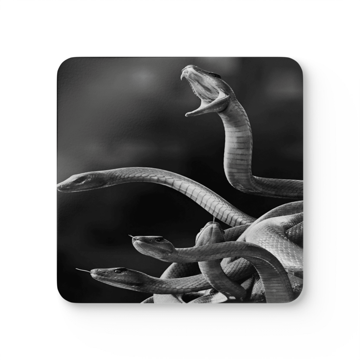 4 Set Majestic Animals Coaster - Wild Animal Safari Forest Dad Gift - East Coast Gifts