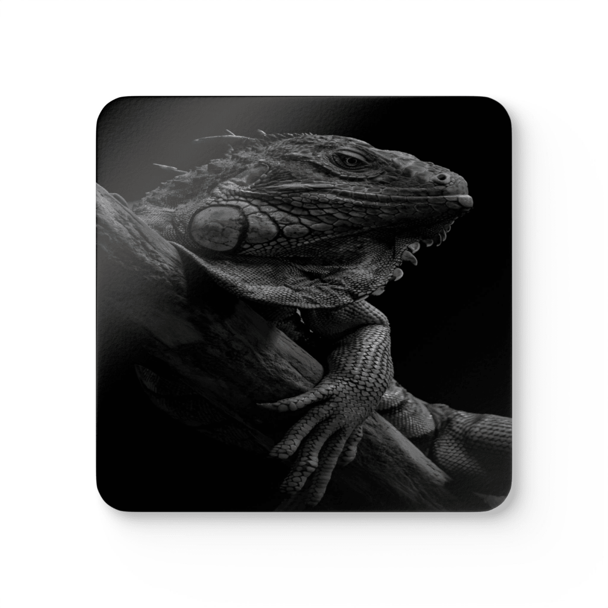 4 Set Majestic Animals Coaster - Wild Animal Safari Forest Dad Gift - East Coast Gifts
