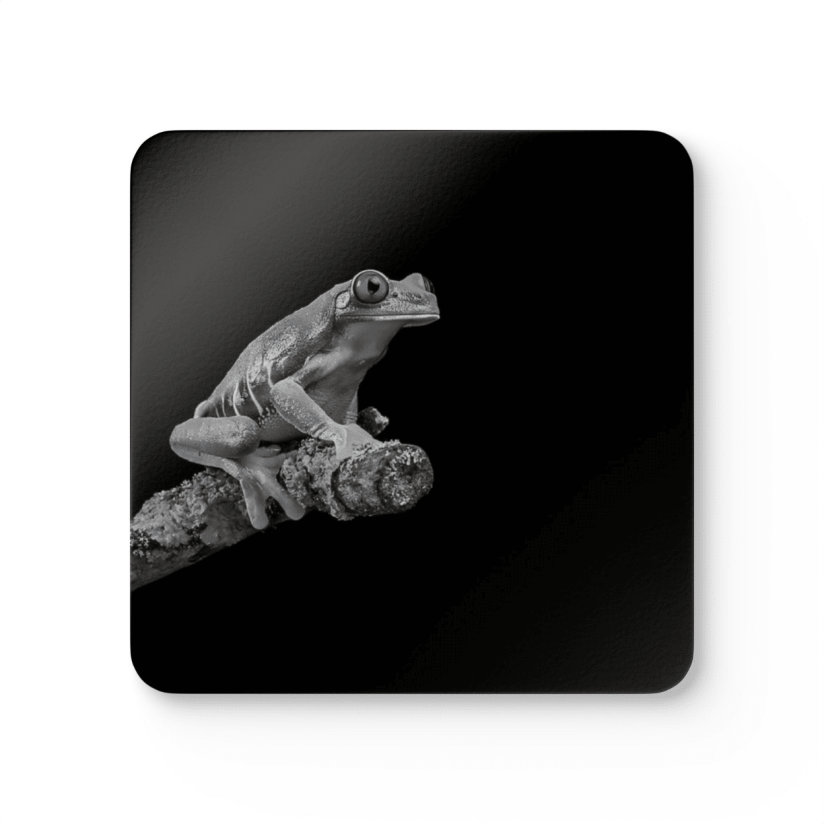 4 Set Majestic Animals Coaster - Wild Animal Safari Forest Dad Gift - East Coast Gifts