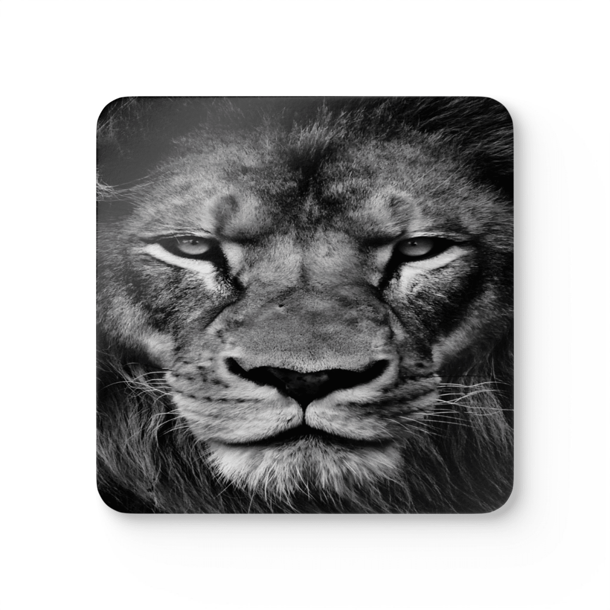 4 Set Majestic Animals Coaster - Wild Animal Safari Forest Dad Gift - East Coast Gifts