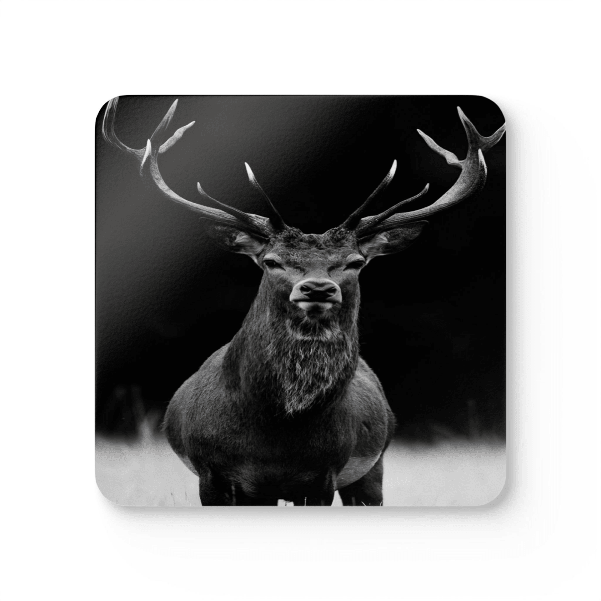 4 Set Majestic Animals Coaster - Wild Animal Safari Forest Dad Gift - East Coast Gifts