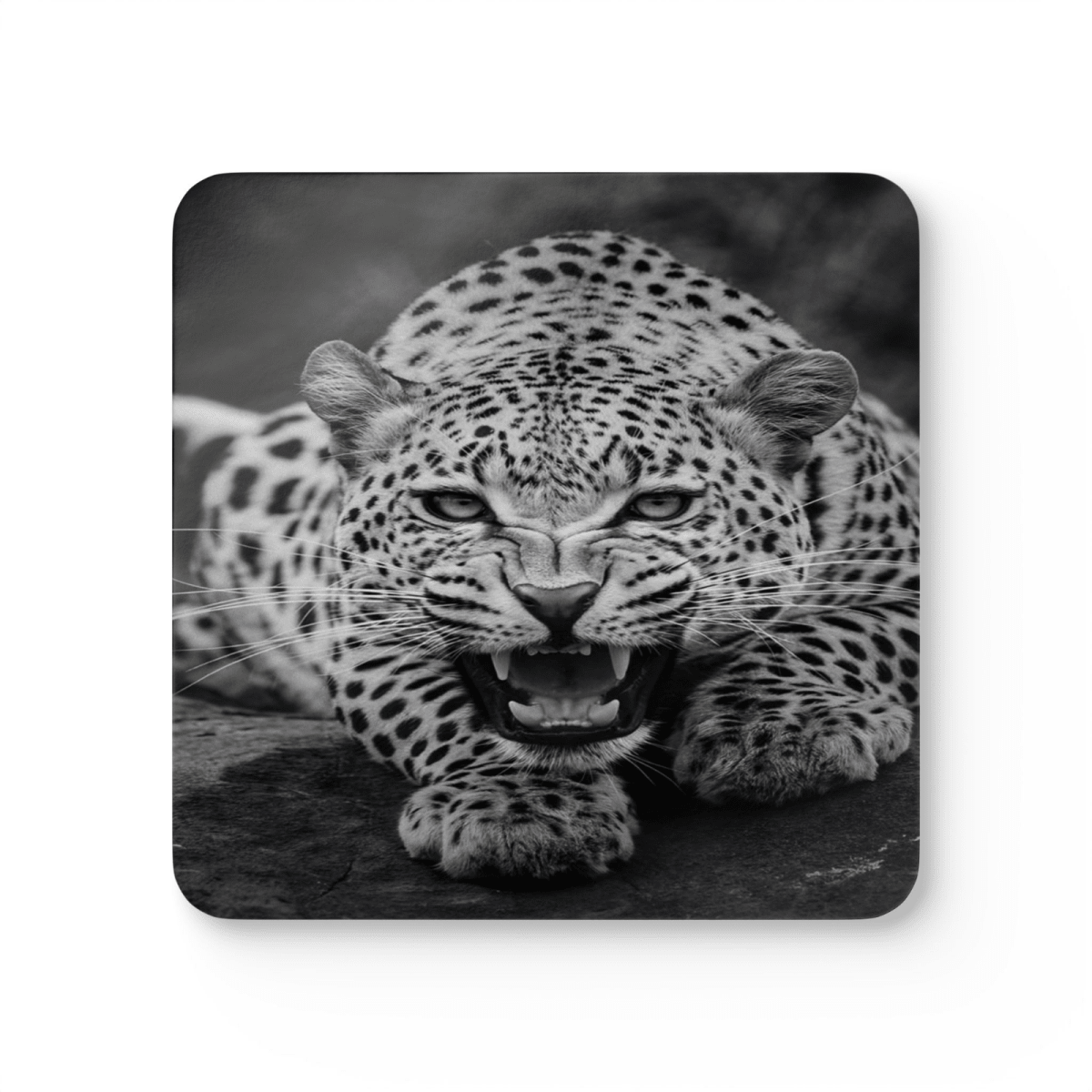 4 Set Majestic Animals Coaster - Wild Animal Safari Forest Dad Gift - East Coast Gifts