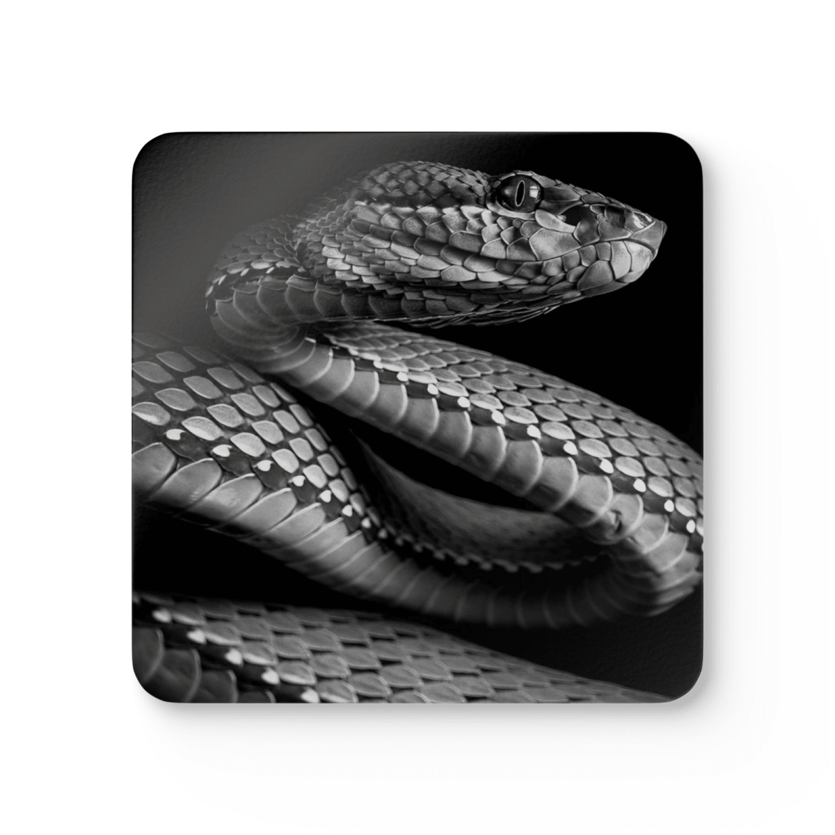 4 Set Majestic Animals Coaster - Wild Animal Safari Forest Dad Gift - East Coast Gifts