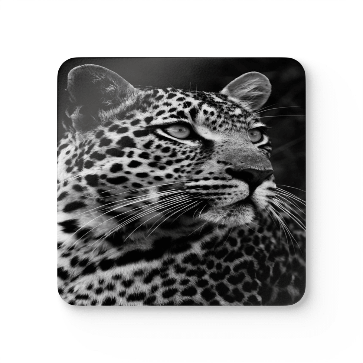 4 Set Majestic Animals Coaster - Wild Animal Safari Forest Dad Gift - East Coast Gifts