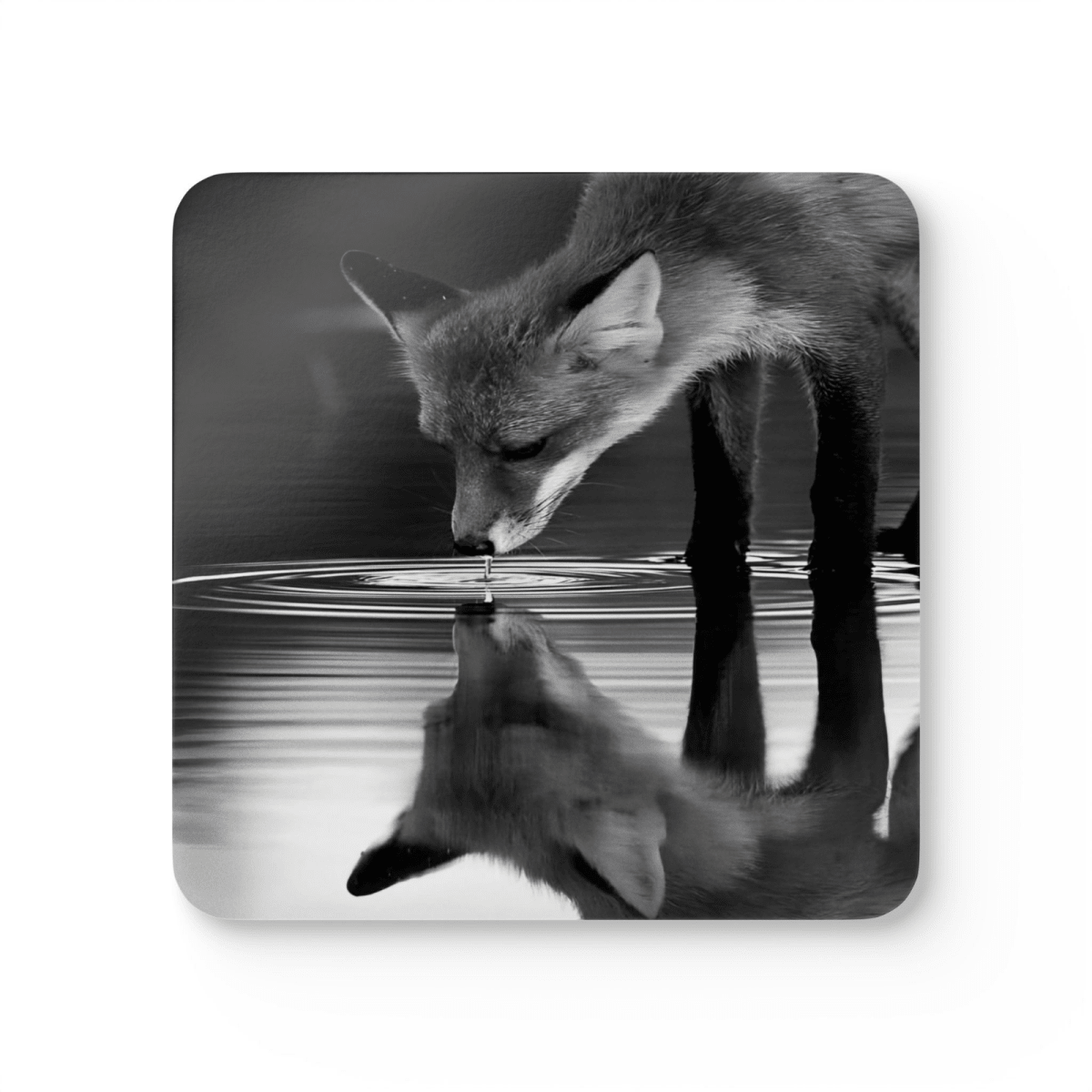 4 Set Majestic Animals Coaster - Wild Animal Safari Forest Dad Gift - East Coast Gifts
