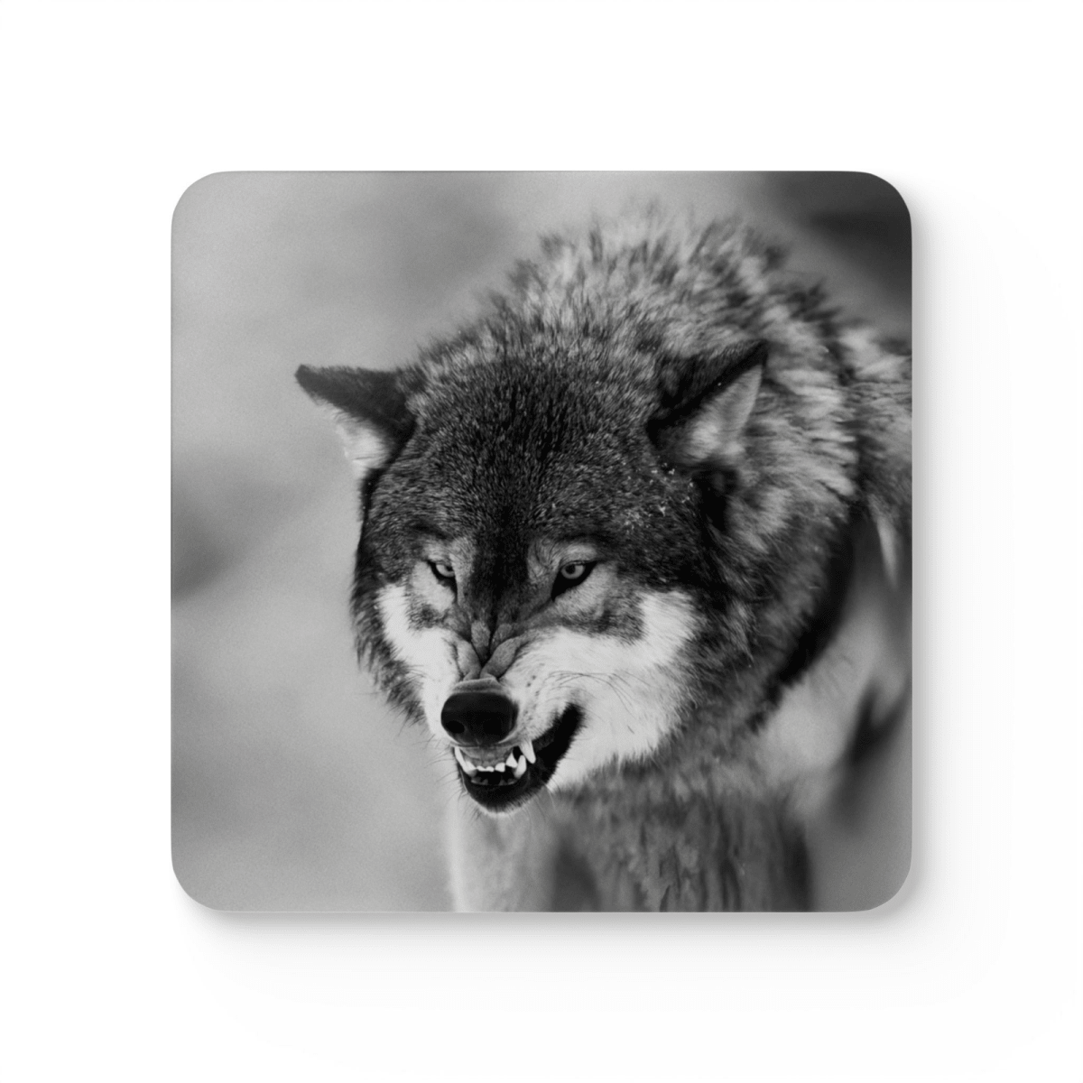 4 Set Majestic Animals Coaster - Wild Animal Safari Forest Dad Gift - East Coast Gifts