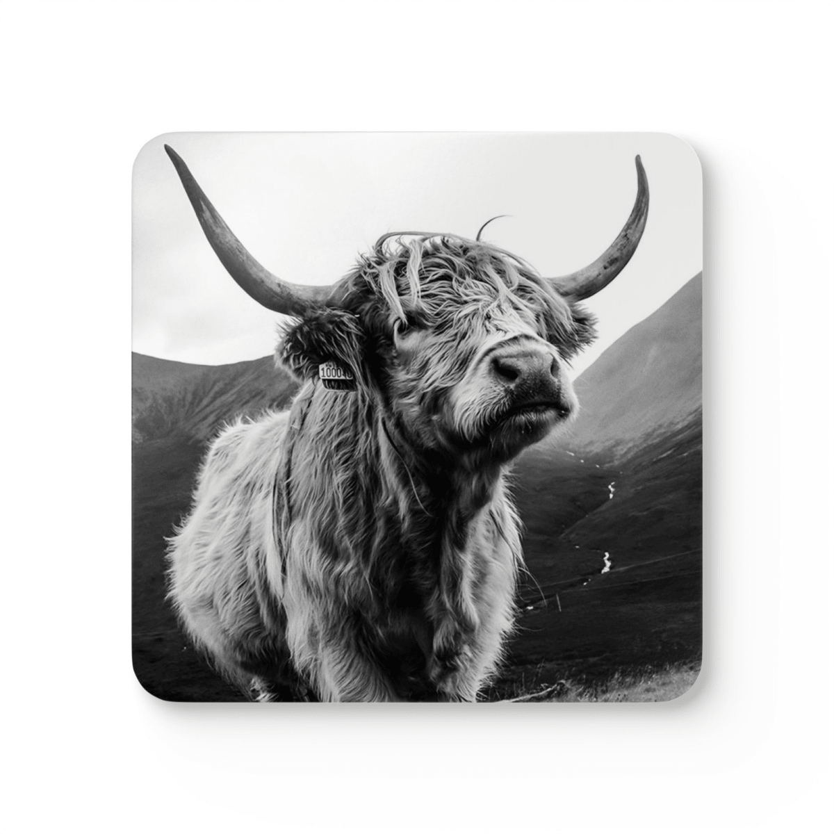 4 Set Majestic Animals Coaster - Wild Animal Safari Forest Dad Gift - East Coast Gifts