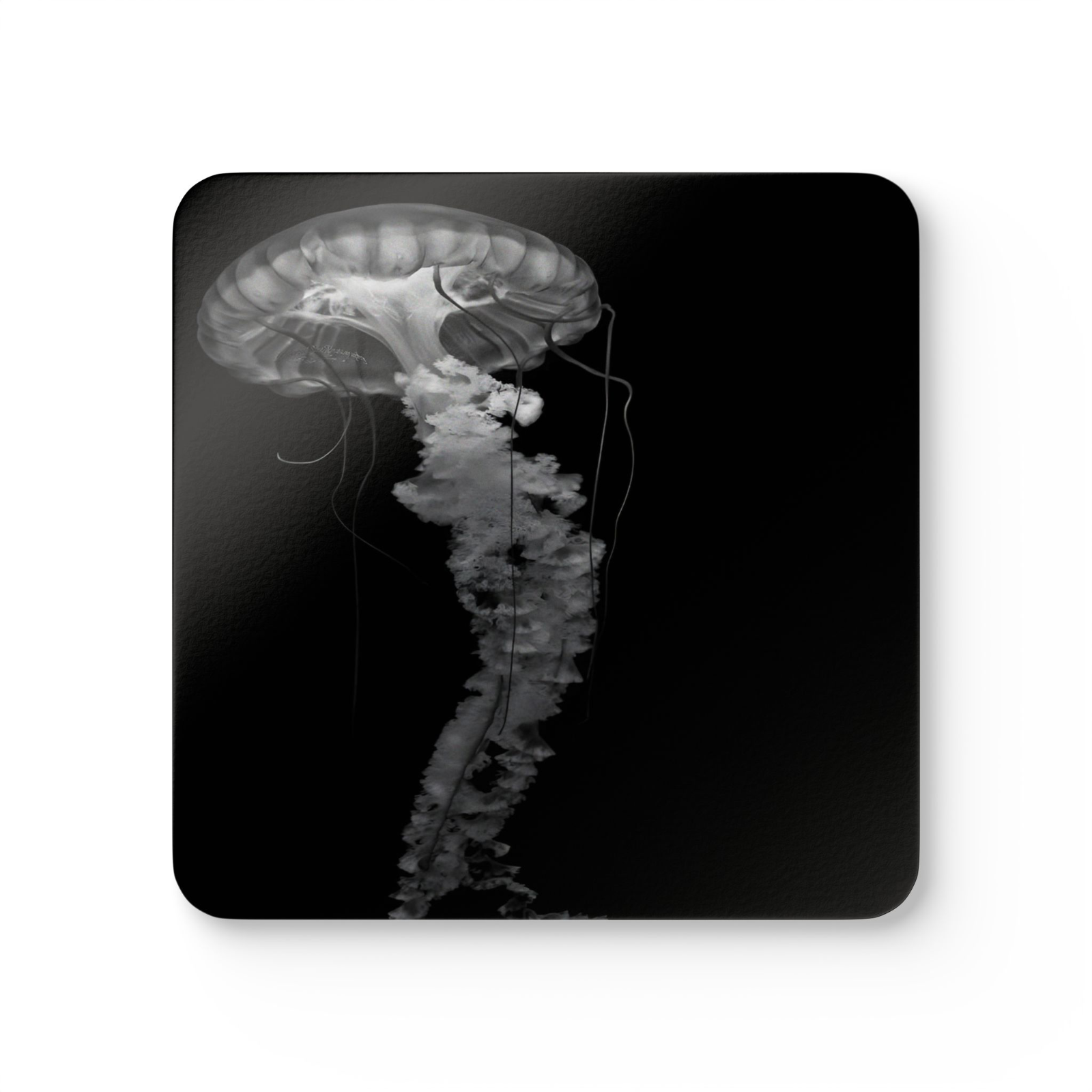 4 Set Majestic Animals Coaster - Wild Animal Safari Forest Dad Gift