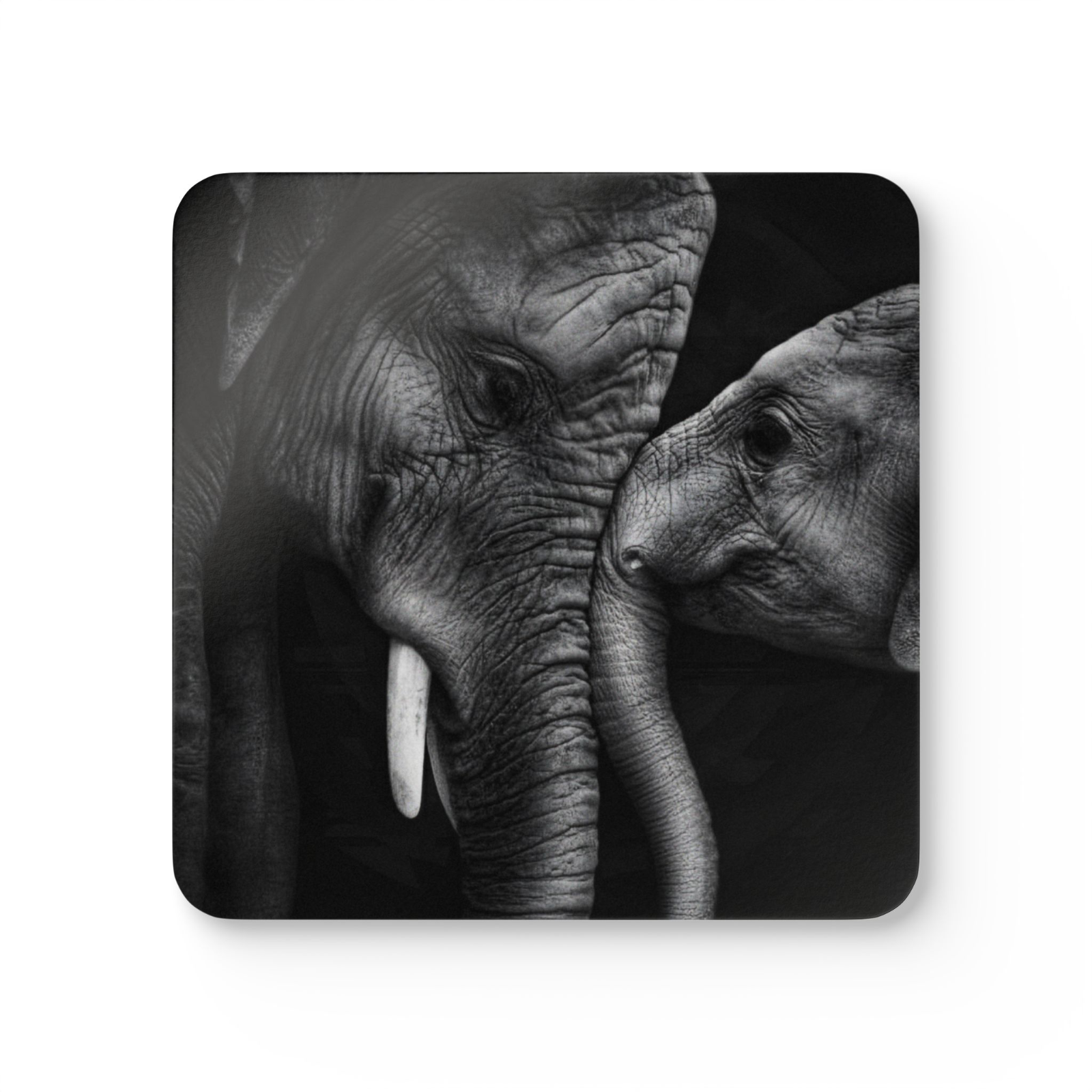 4 Set Majestic Animals Coaster - Wild Animal Safari Forest Dad Gift