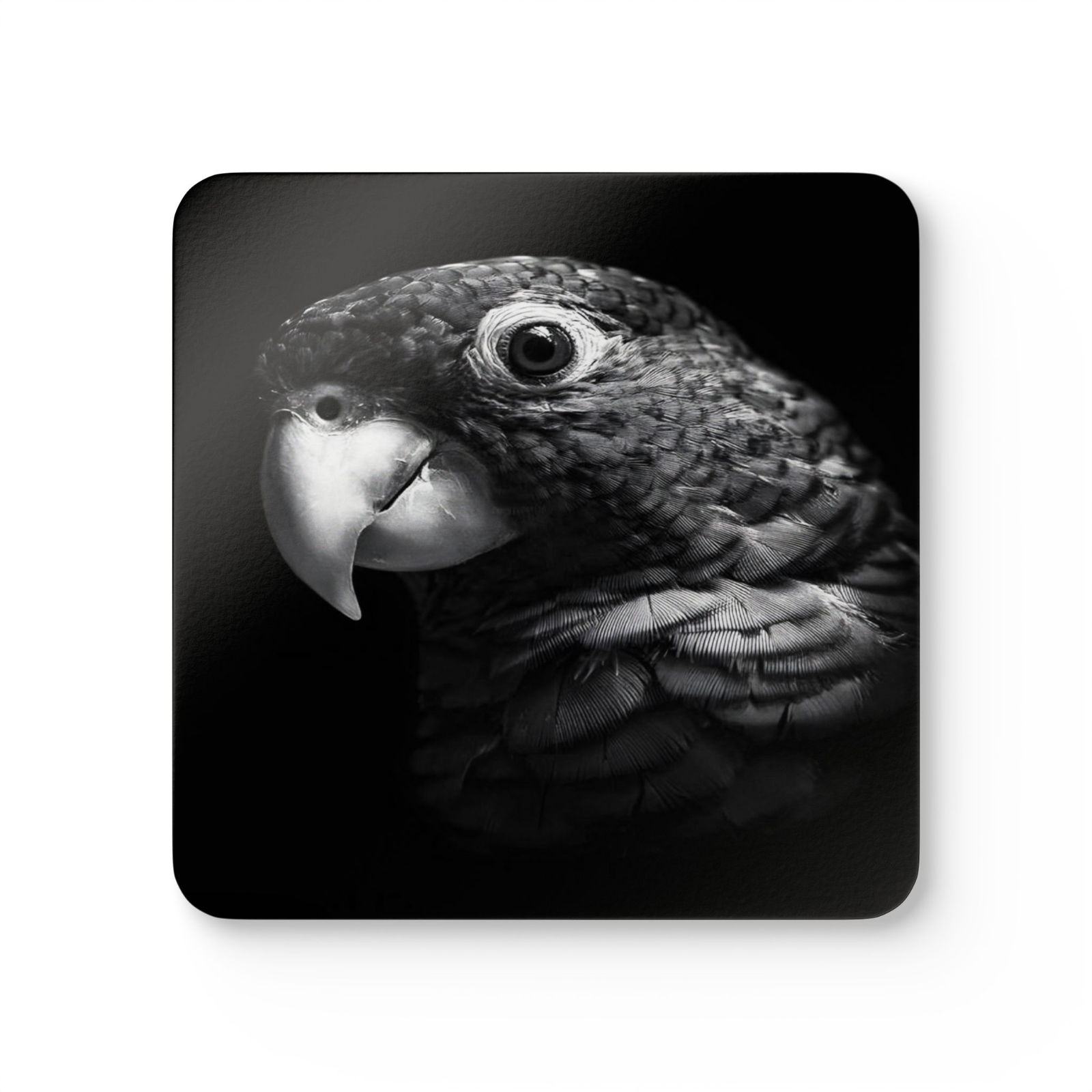 4 Set Majestic Animals Coaster - Wild Animal Safari Forest Dad Gift