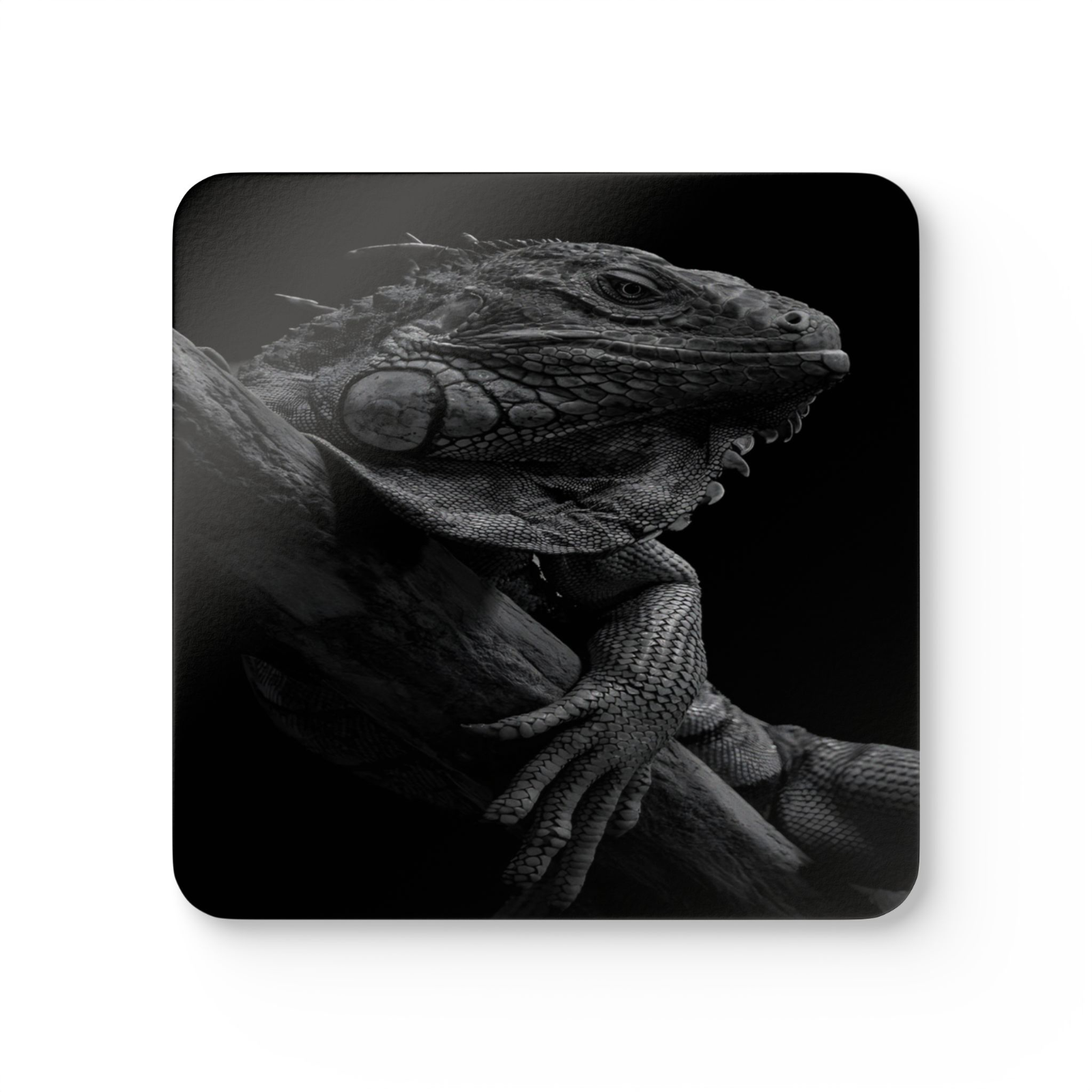 4 Set Majestic Animals Coaster - Wild Animal Safari Forest Dad Gift