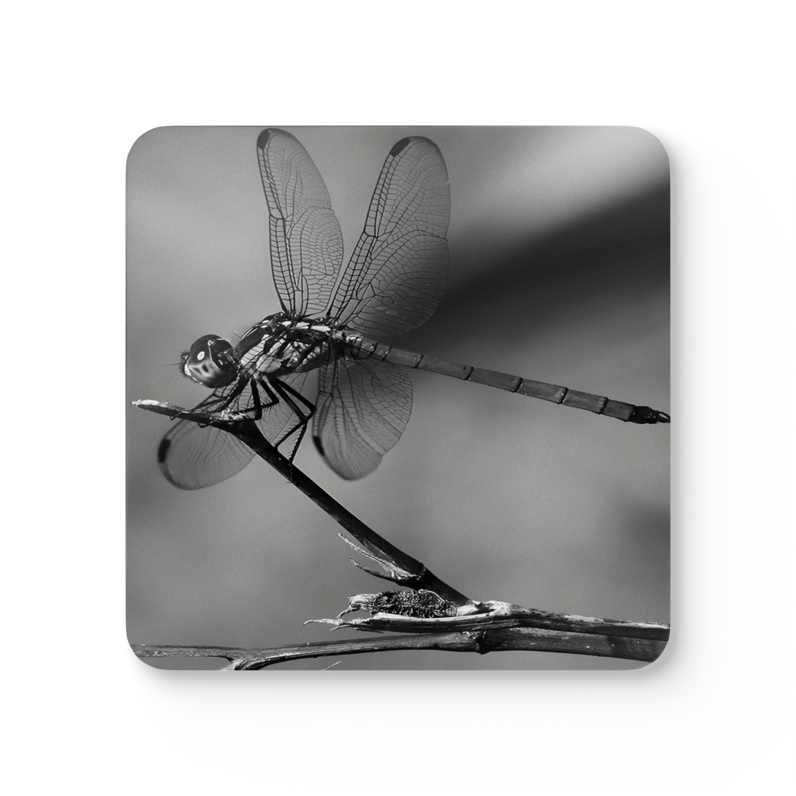 4 Set Majestic Animals Coaster - Wild Animal Safari Forest Dad Gift