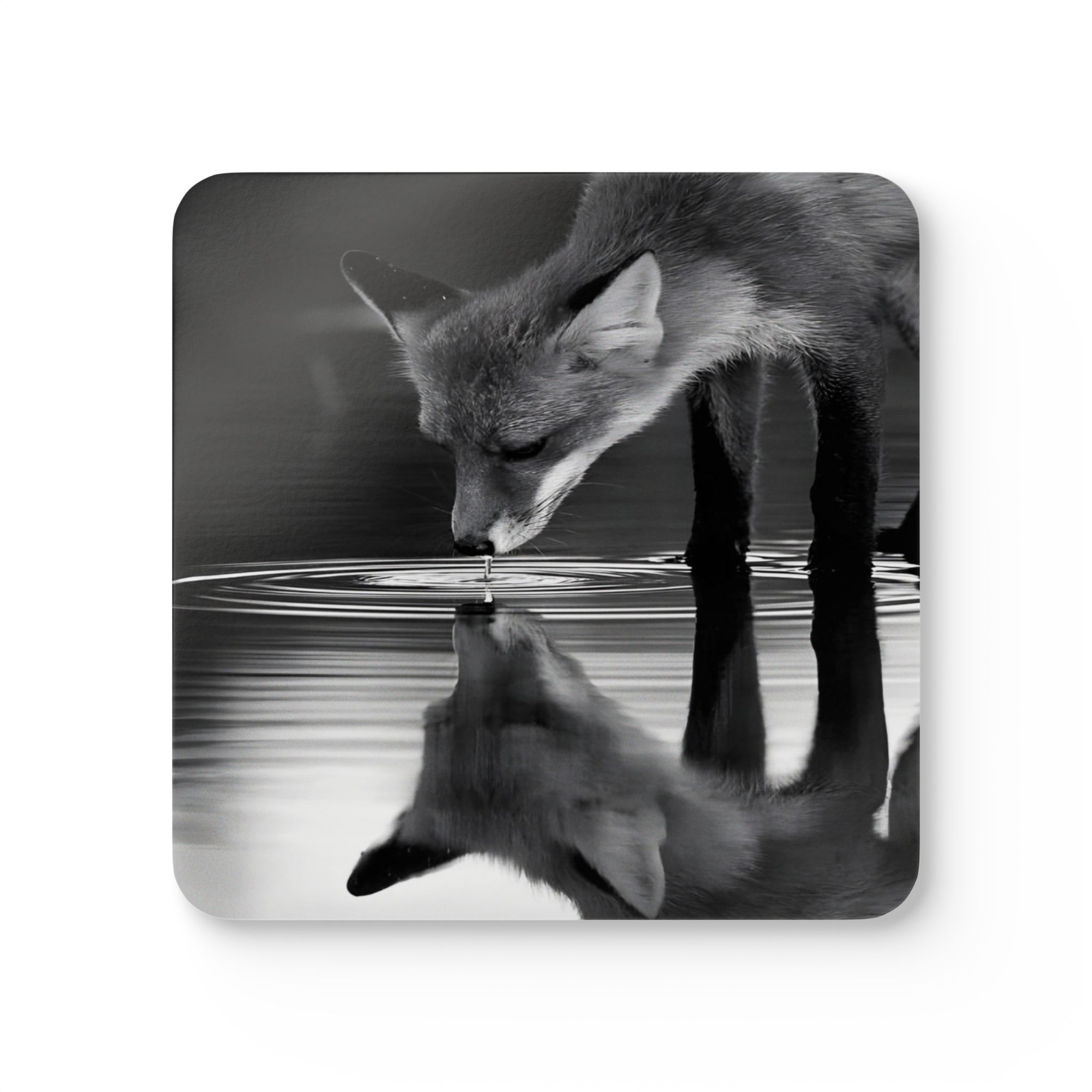 4 Set Majestic Animals Coaster - Wild Animal Safari Forest Dad Gift