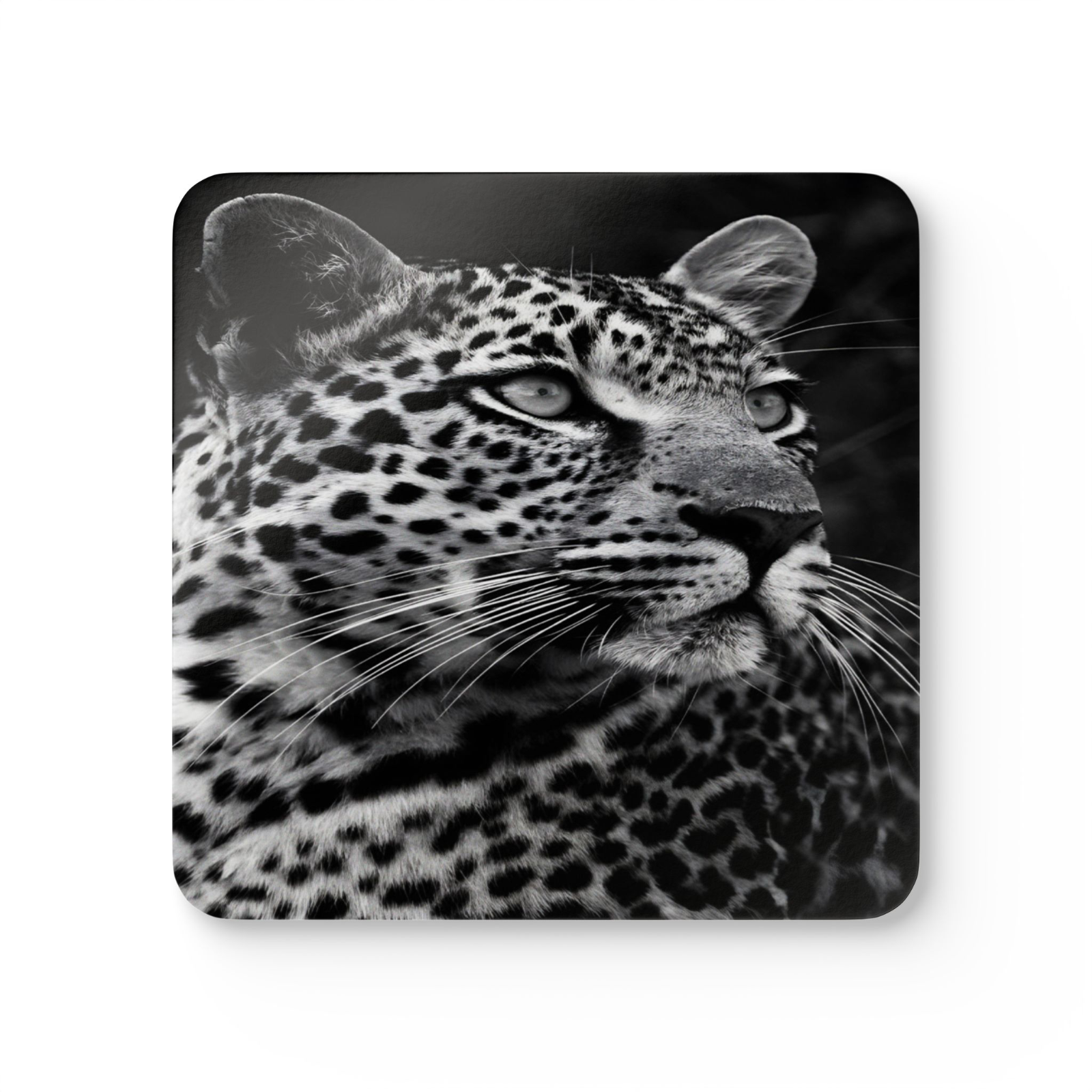 4 Set Majestic Animals Coaster - Wild Animal Safari Forest Dad Gift