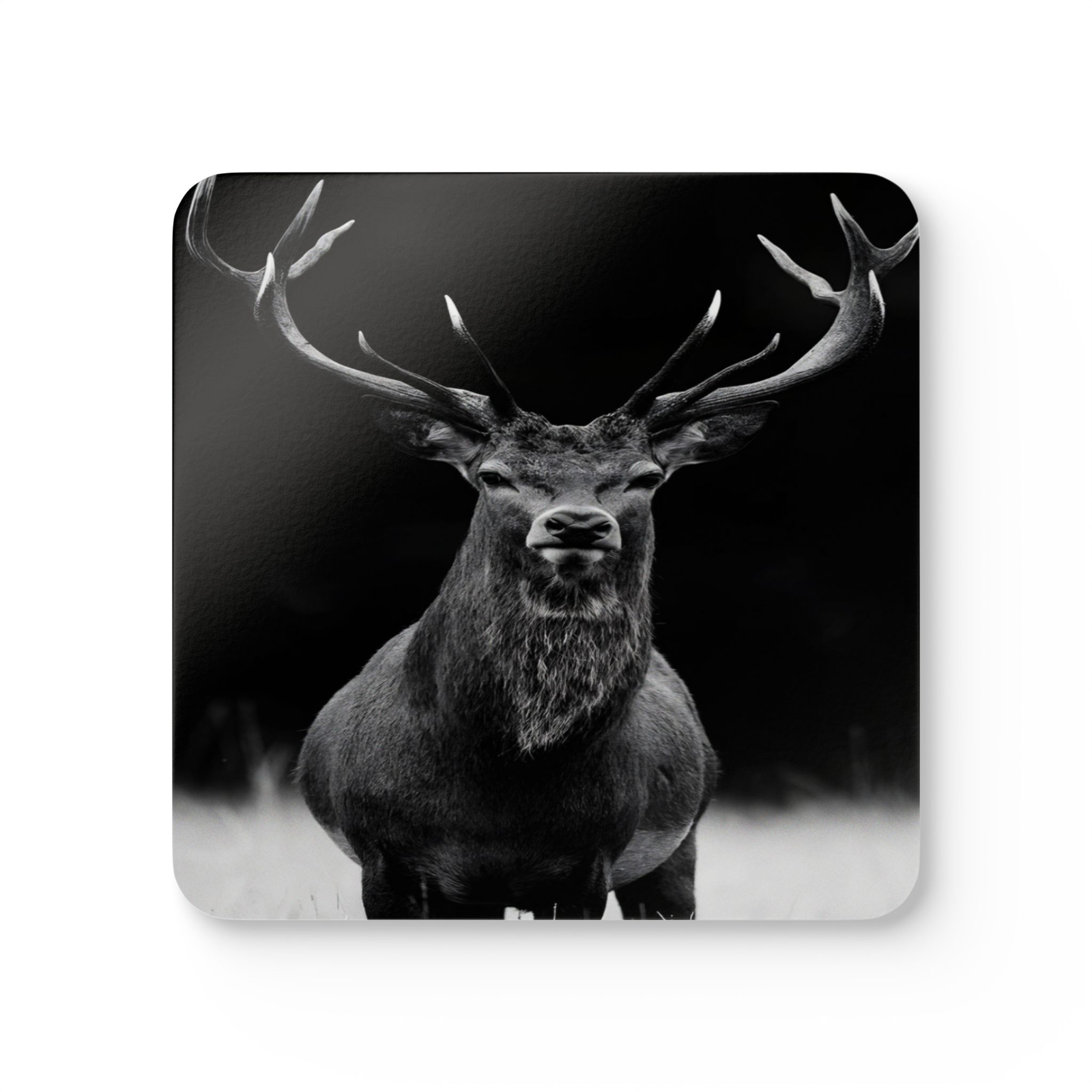 4 Set Majestic Animals Coaster - Wild Animal Safari Forest Dad Gift