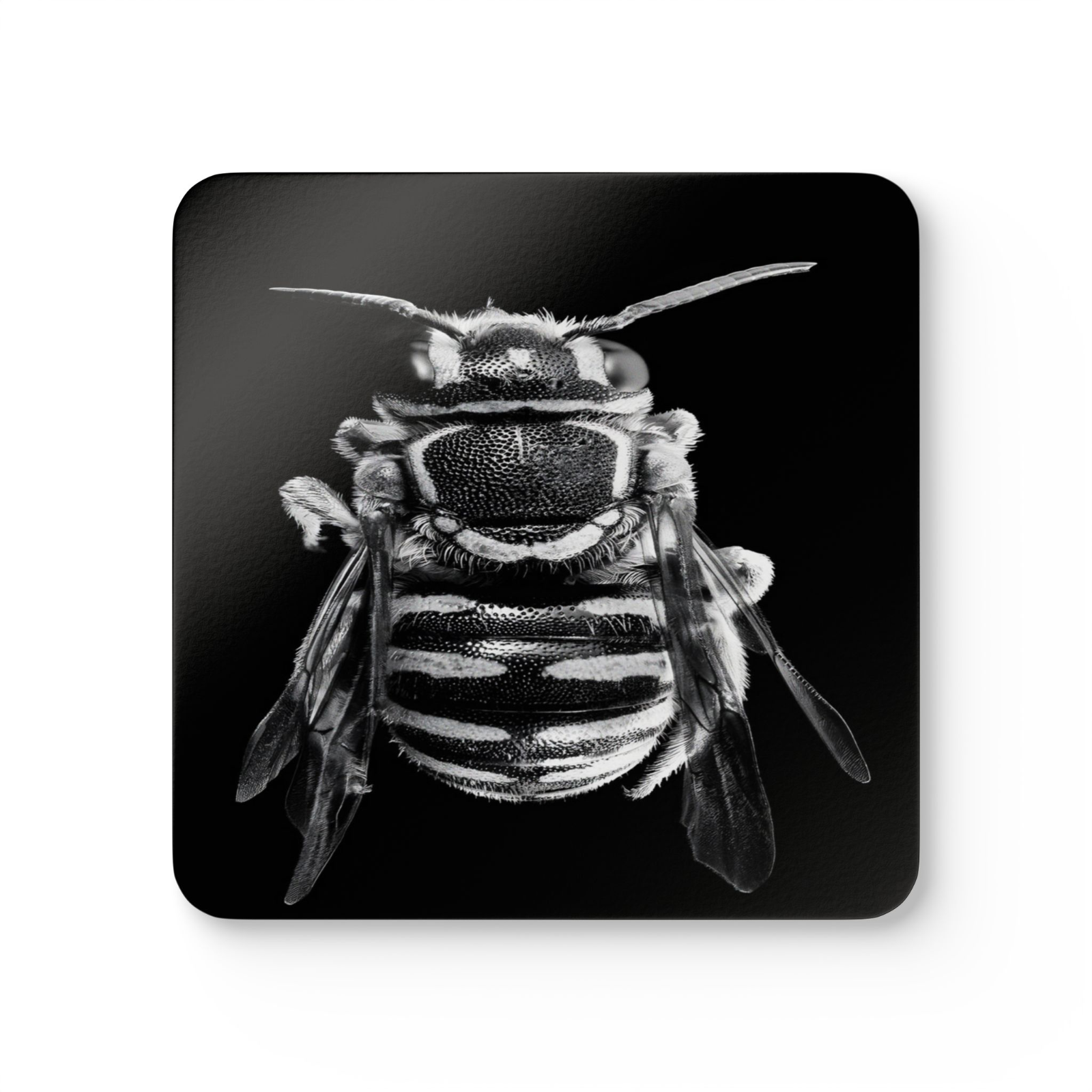 4 Set Majestic Animals Coaster - Wild Animal Safari Forest Dad Gift