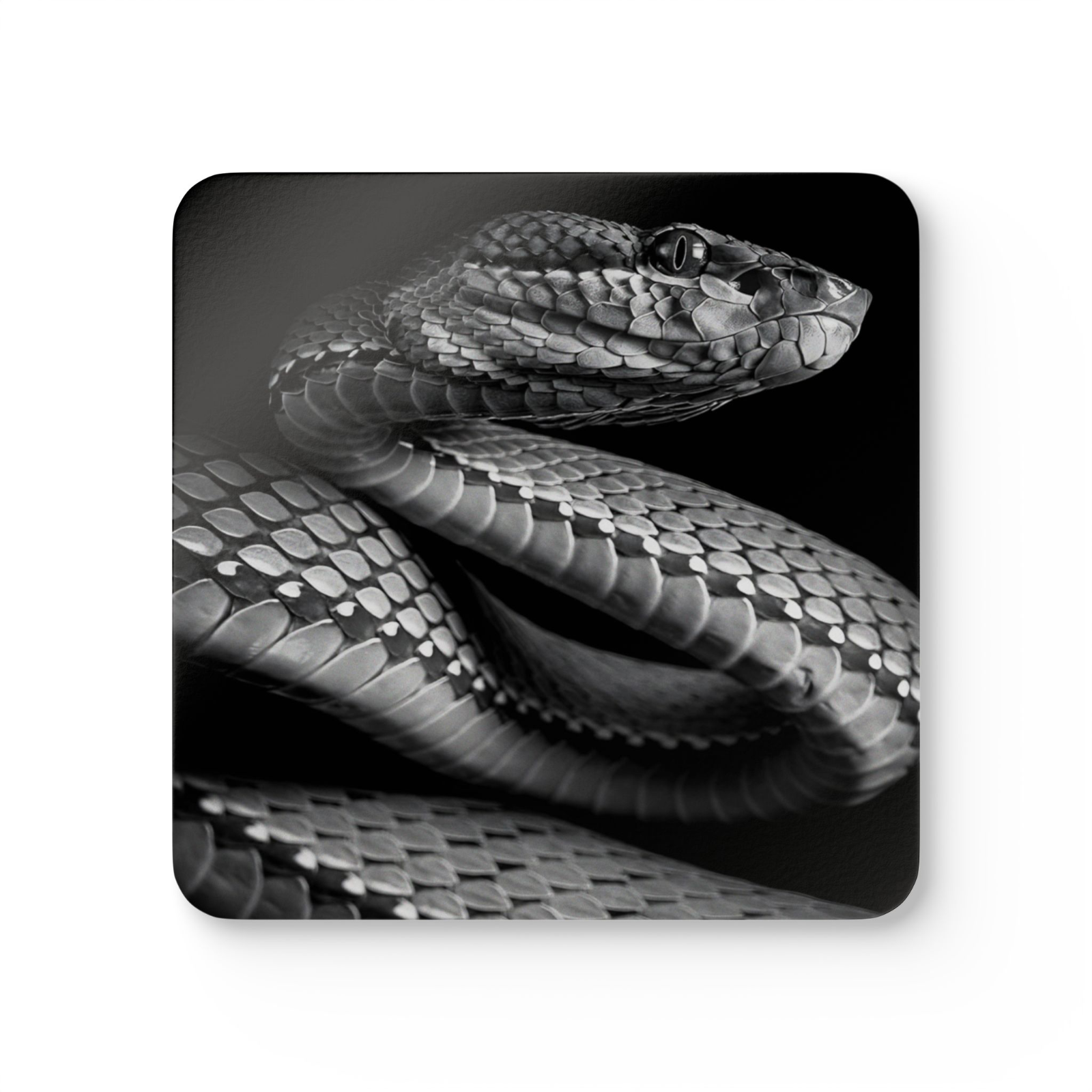 4 Set Majestic Animals Coaster - Wild Animal Safari Forest Dad Gift