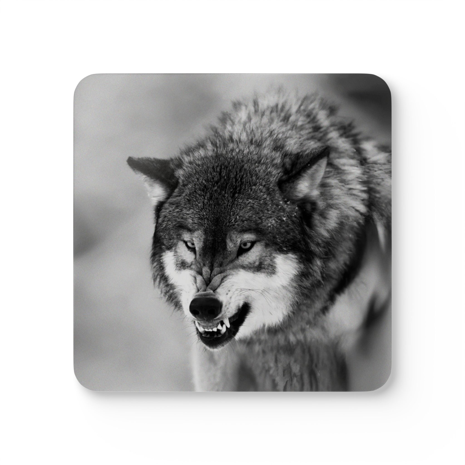 4 Set Majestic Animals Coaster - Wild Animal Safari Forest Dad Gift