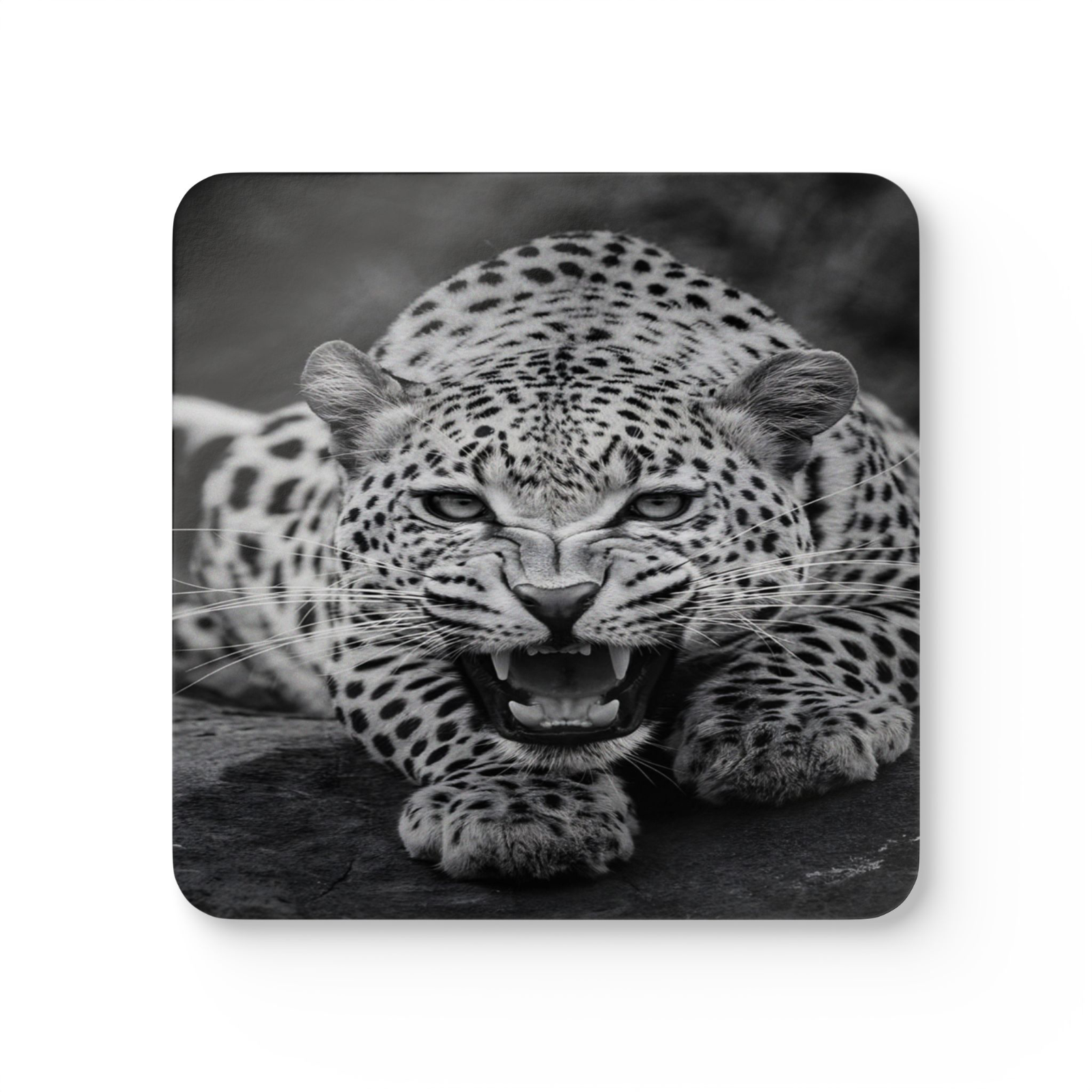 4 Set Majestic Animals Coaster - Wild Animal Safari Forest Dad Gift