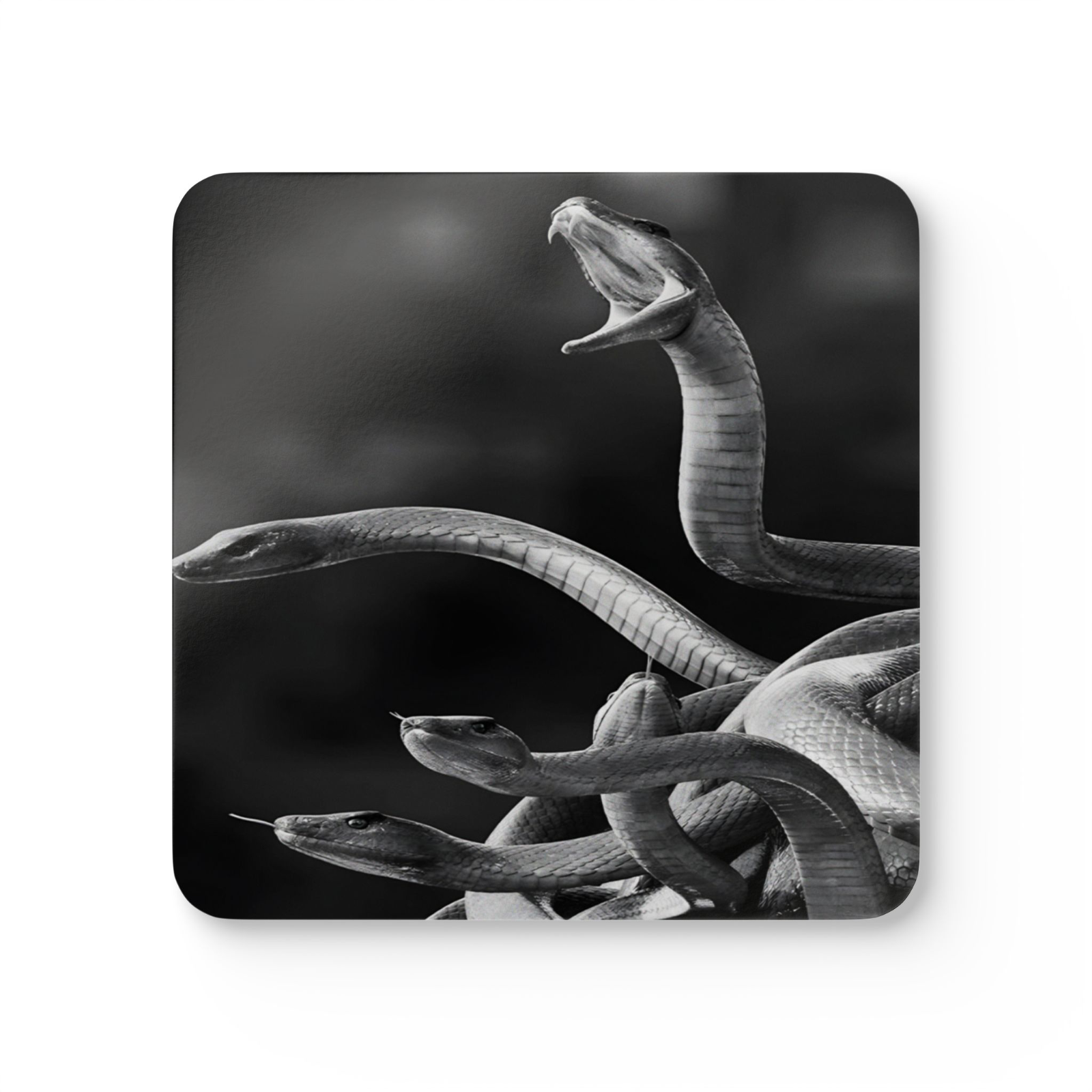 4 Set Majestic Animals Coaster - Wild Animal Safari Forest Dad Gift