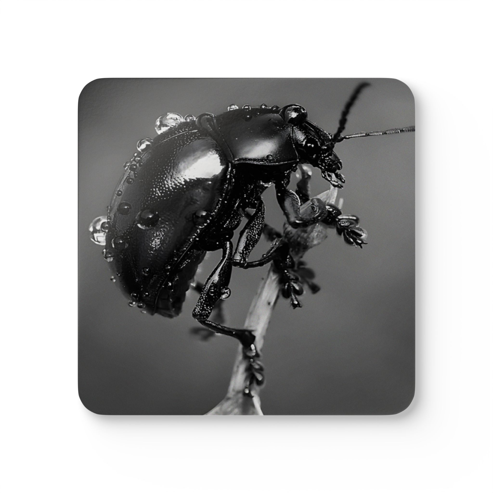 4 Set Majestic Animals Coaster - Wild Animal Safari Forest Dad Gift