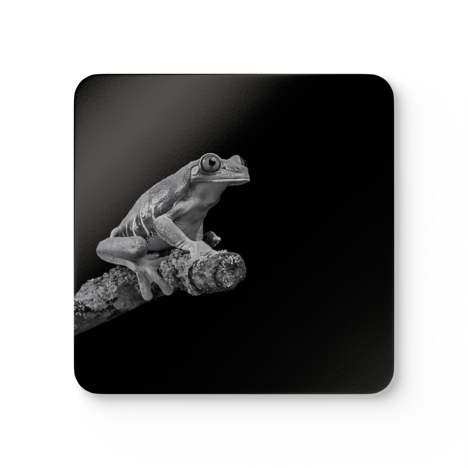 4 Set Majestic Animals Coaster - Wild Animal Safari Forest Dad Gift